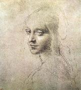 LEONARDO da Vinci Head of a girl Spain oil painting artist